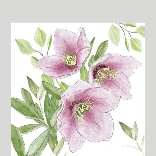 Ampelco Napkin Cocktail ''Classic Helleborus'' 307-32518015