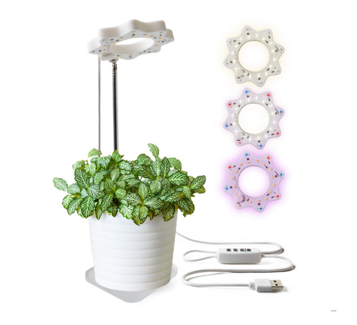 Seed & Sprout - Bloomie Indoor Grow Light - SNSBL8
