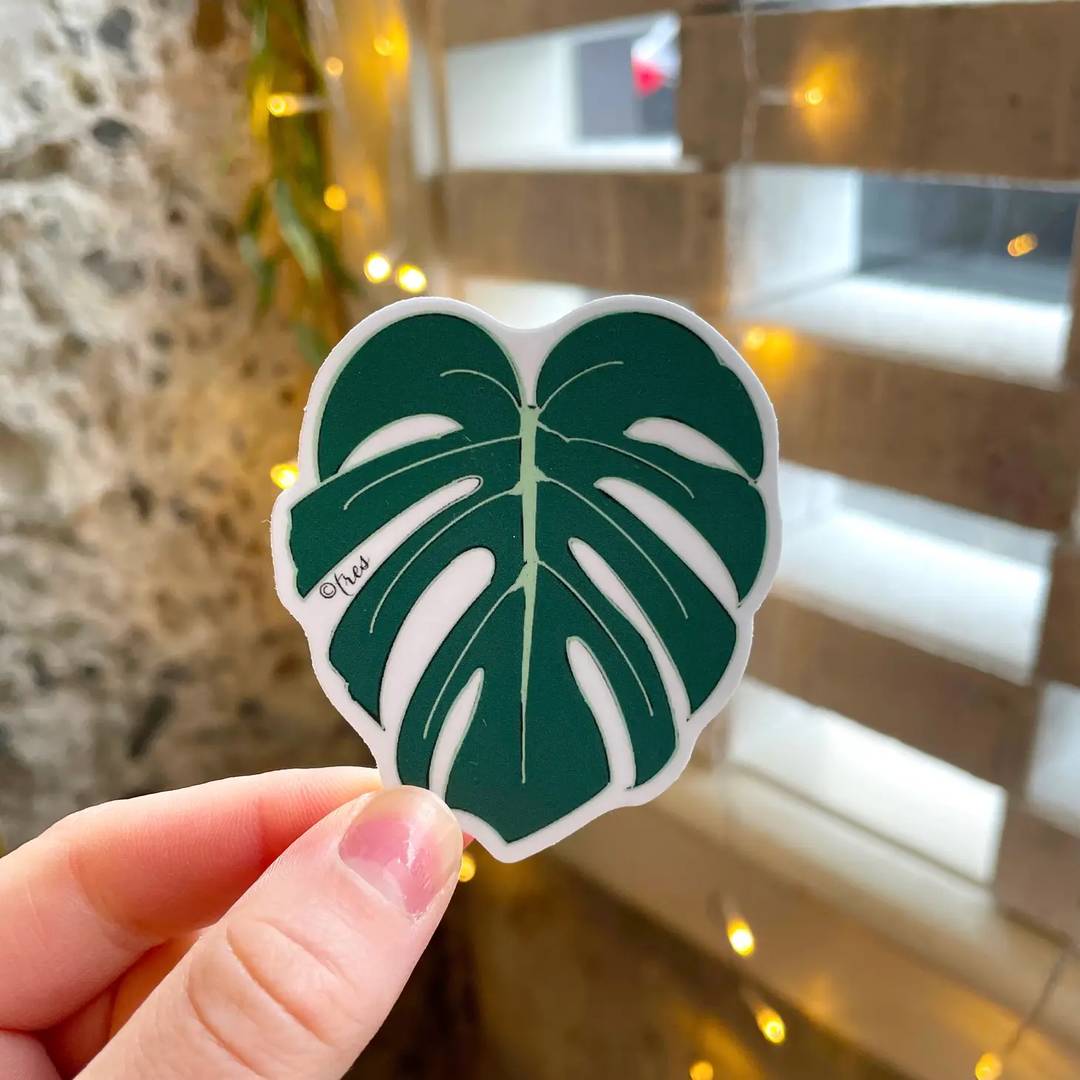 Raven's Edge Studio - Houseplant Sticker | Plant Sticker | Monstera Leaf Sticker