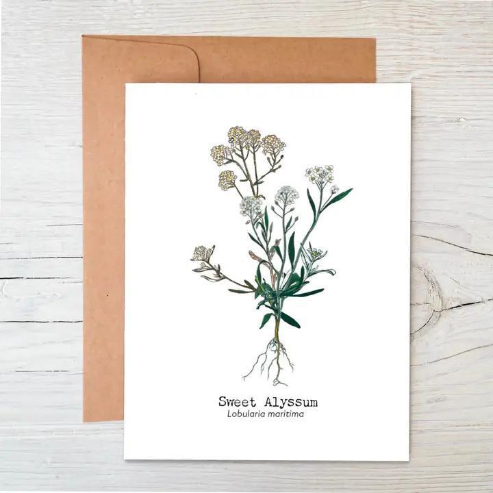 Raven's Edge Studio - Wildflower Seed Card - Sweet Alyssum