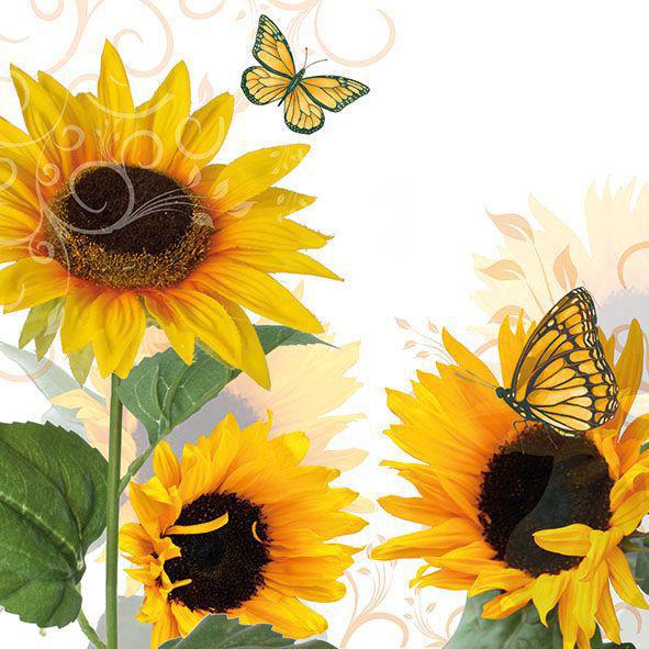 Ampelco - Sunny Butterfly Lunch Napkin - 307-13310115