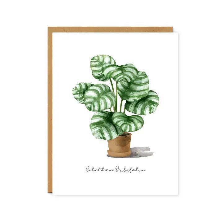 Footnotes - Calathea Orbifolia Plant Watercolor - Everyday Greeting Card