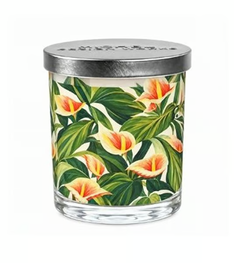 Stonewall kitchen - Michel Design Works - Tropical Vanilla Decorative Glass Candle 7.4 oz - 831467