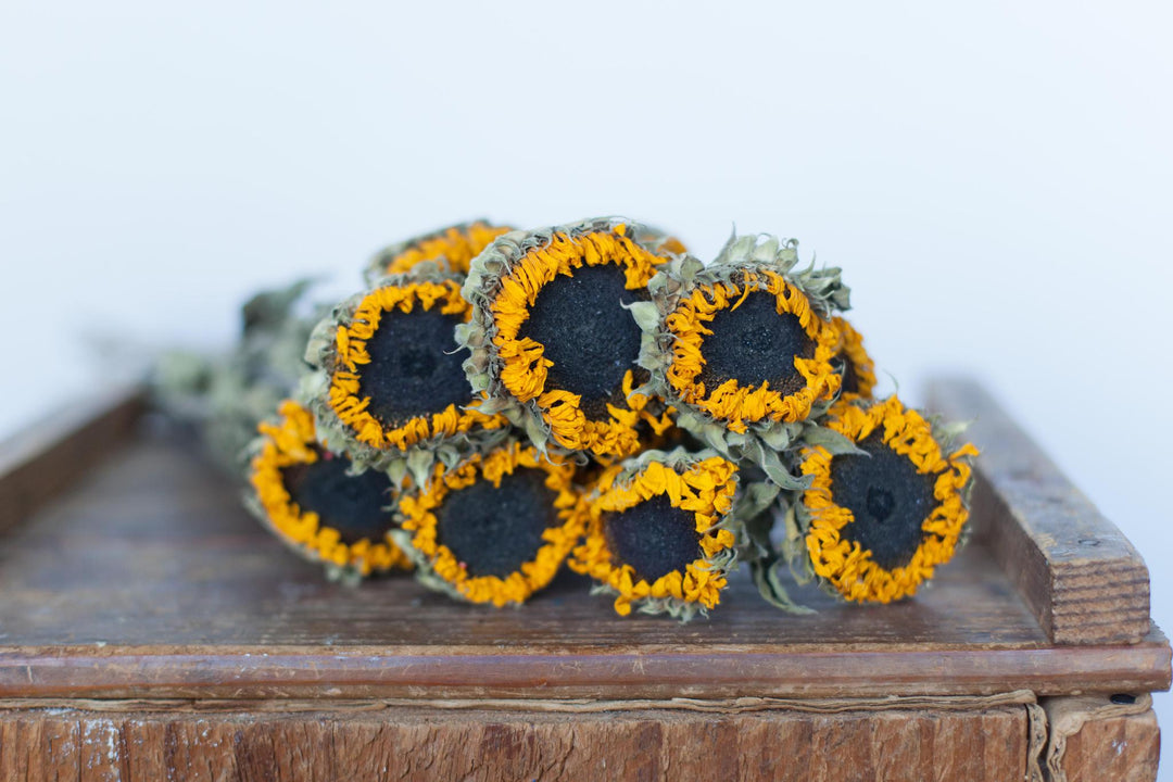 Sunflowers - Sun Gold - 4oz bunch DISSVF