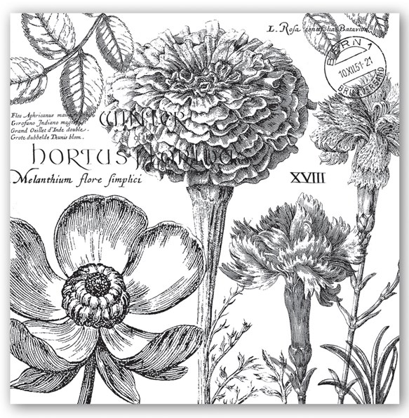 Stonewall Kitchen - Michel Design Works - Flower Noir Luncheon Napkin - 817244