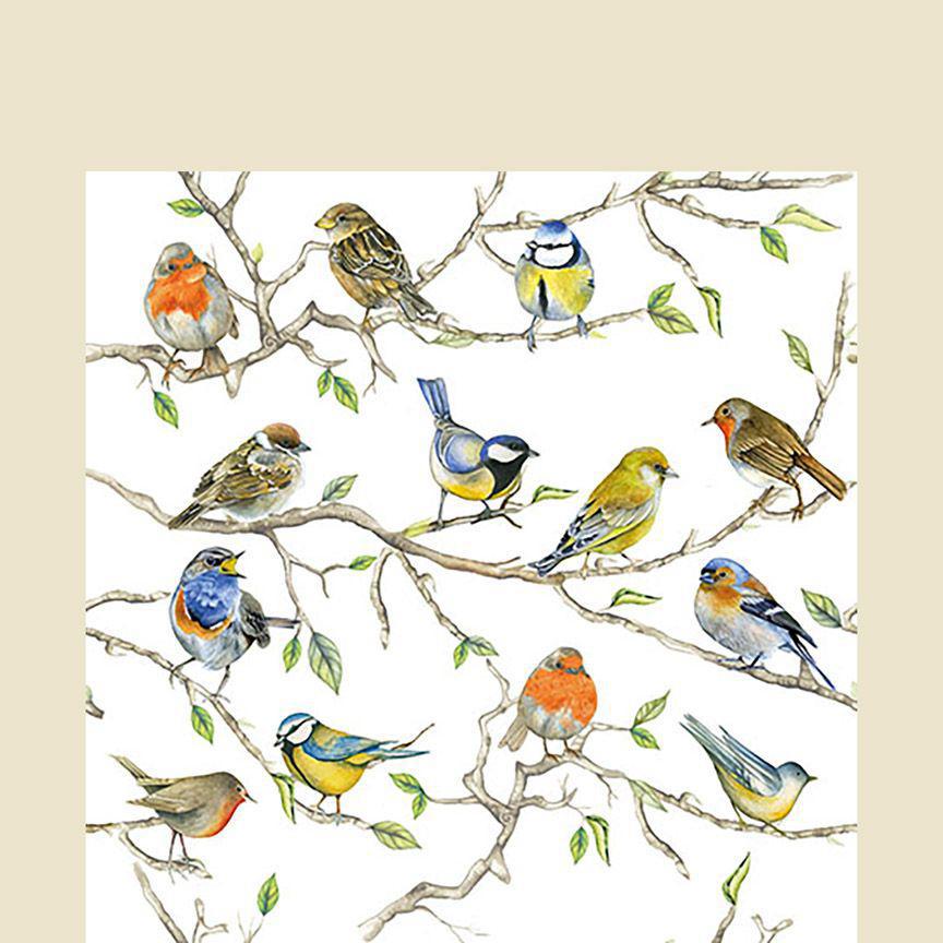 Ampelco - Birds Meeting Cocktail Napkin - 12514975