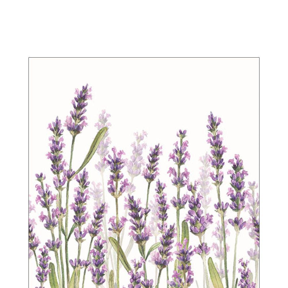 Ampelco - Lavender Shades White Napkin Cocktail - 12515985