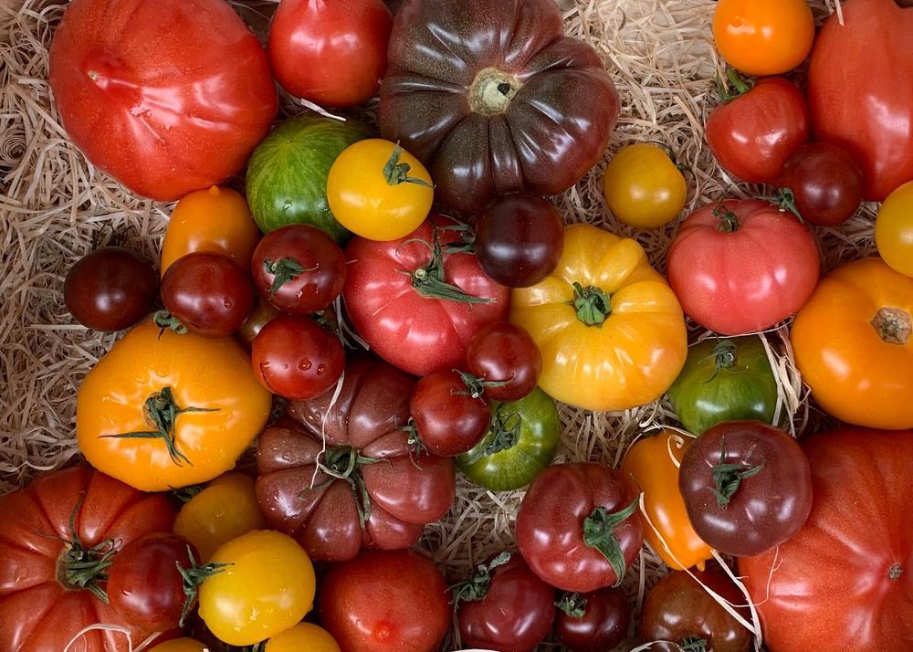 Tomatoes Heirloom (Local, Hollis, NH) by the pound