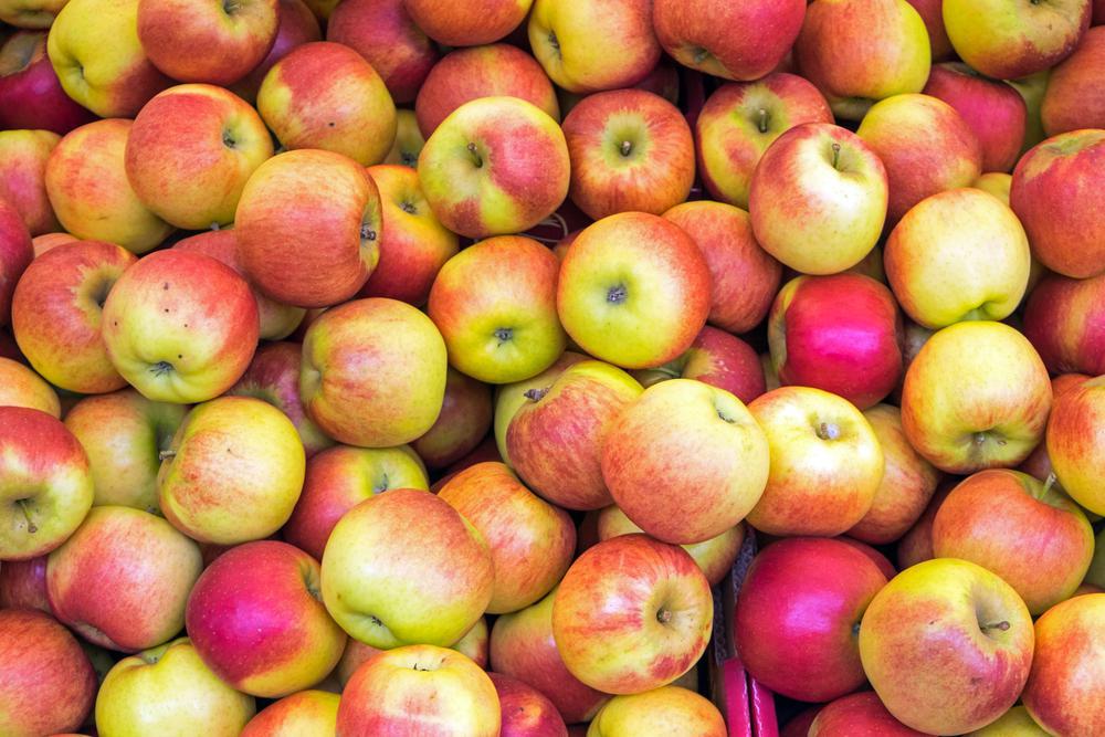 Apples - Gala ( Local Hollis, NH ) by the pound