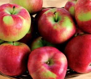 Apples - Paula Red (Local Hollis, NH) by the pound