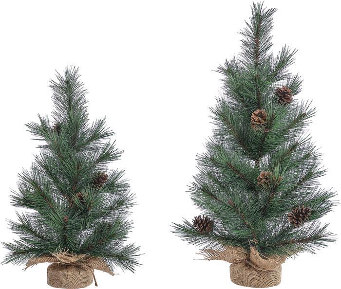 Special T Large Floral Pine With Burlap Tree F24641