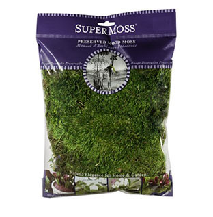 SuperMoss Forest Moss Fresh Green Preserved 80.75 cu in 25320 - 80230511