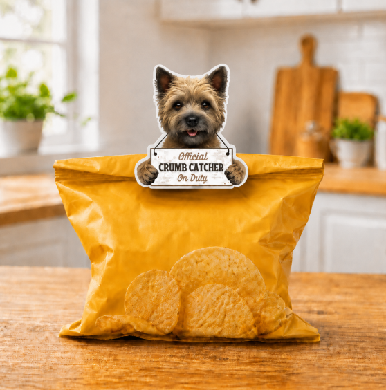 E&S Pets - Carin Terrier - Chip Clip - 247-9
