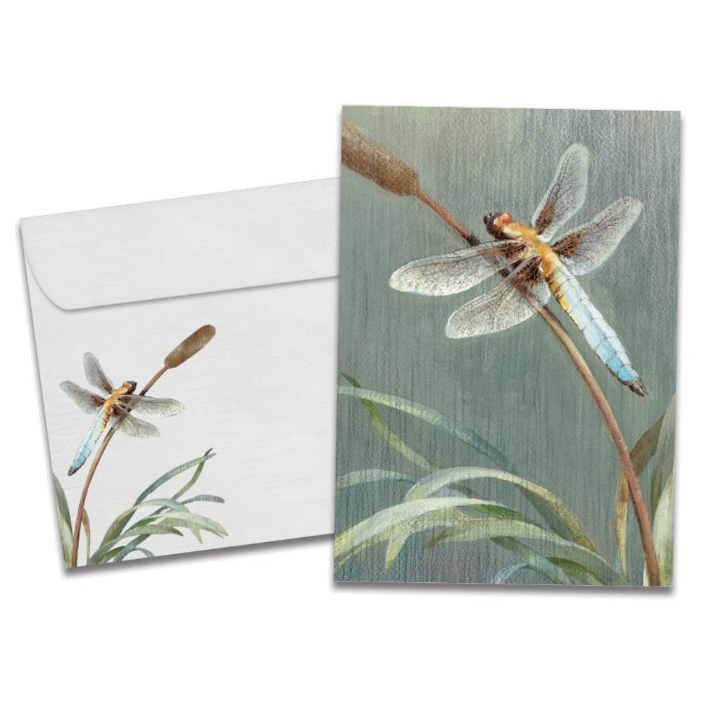 Tree-Free Greetings - Sympathy Card - Dragonfly 14171