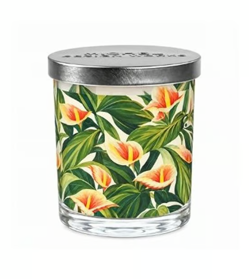 Stonewall kitchen - Michel Design Works - Tropical Vanilla Decorative Glass Candle 7.4 oz - 831467