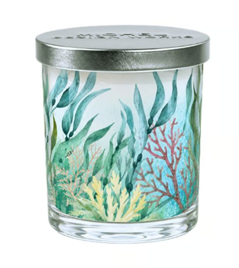 Stonewall kitchen - Michel Design Works - Sea Salt Decorative Glass Candle 7.4 oz - 831465