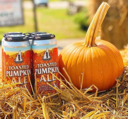 603 Brewery - Toasted Pumpkin Ale - 4 Pack 16 oz Cans - 1473163 (Fall Seasonal)
