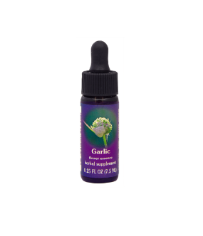 FES Quintessential Essences Garlic, 1/4 oz - 24425
