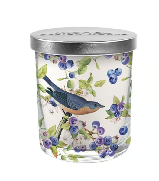 Stonewall kitchen - Michel Design Works - Wild Blueberry Decorative Glass Candle 7.4 oz - 831466