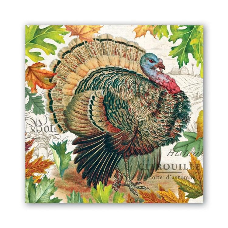 Stonewall Kitchen - Michel Design Works - Fall Harvest Turkey Luncheon Napkin - 817332B