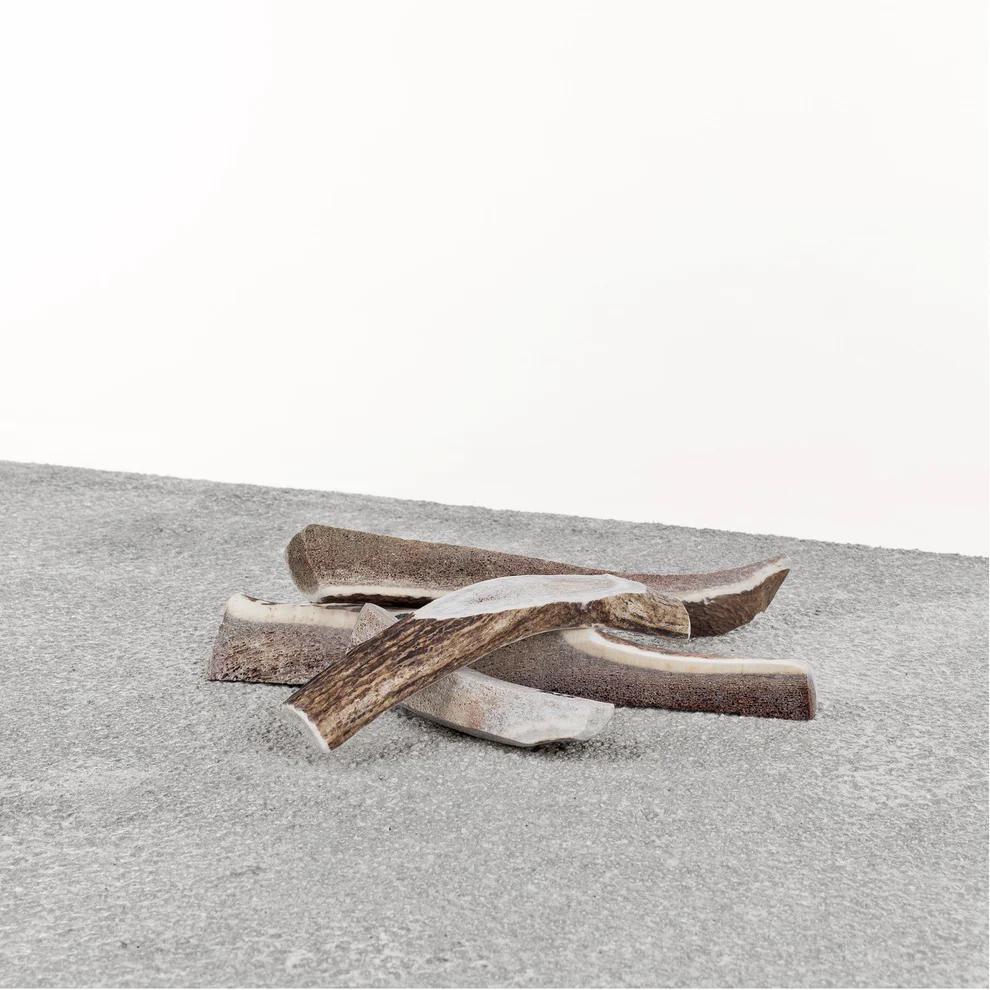 Primal - Stag Antlers EXTRA LARGE - 76030085 DISSVF