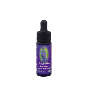 FES Quintessential Essences - Lavender 1/4 oz - 24433