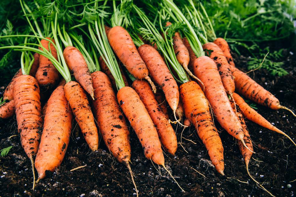 Carrots by the pound
