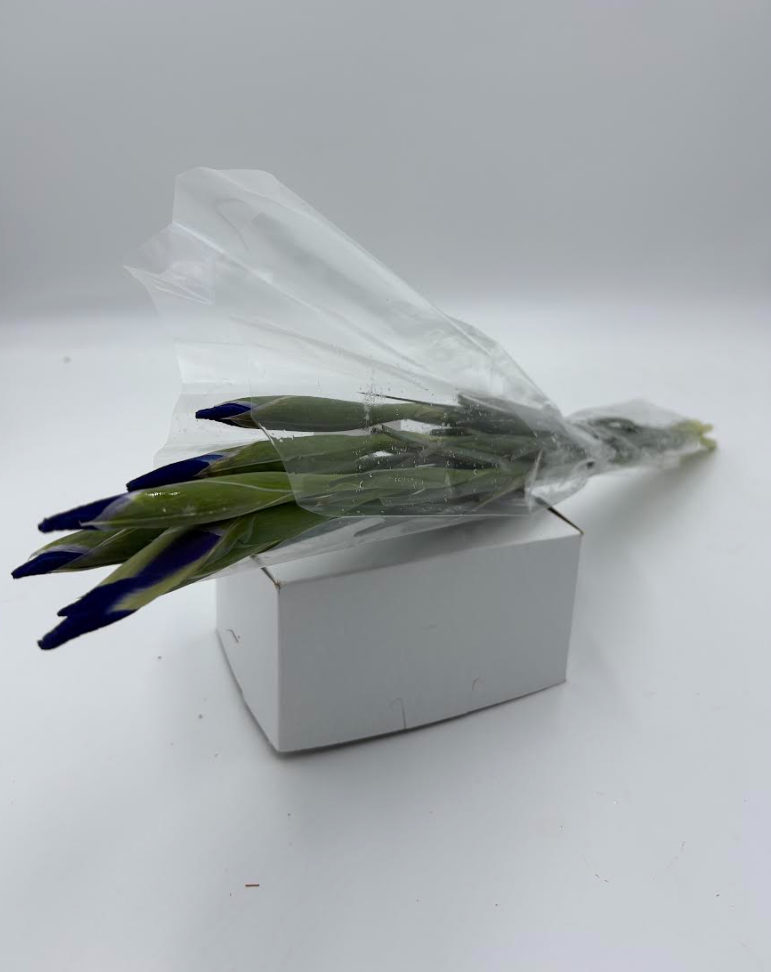 Iris Bouquet