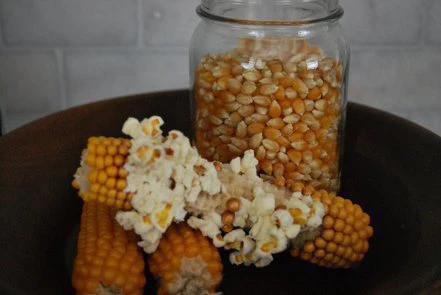 Farmer's Popcorn Cob DISSVF